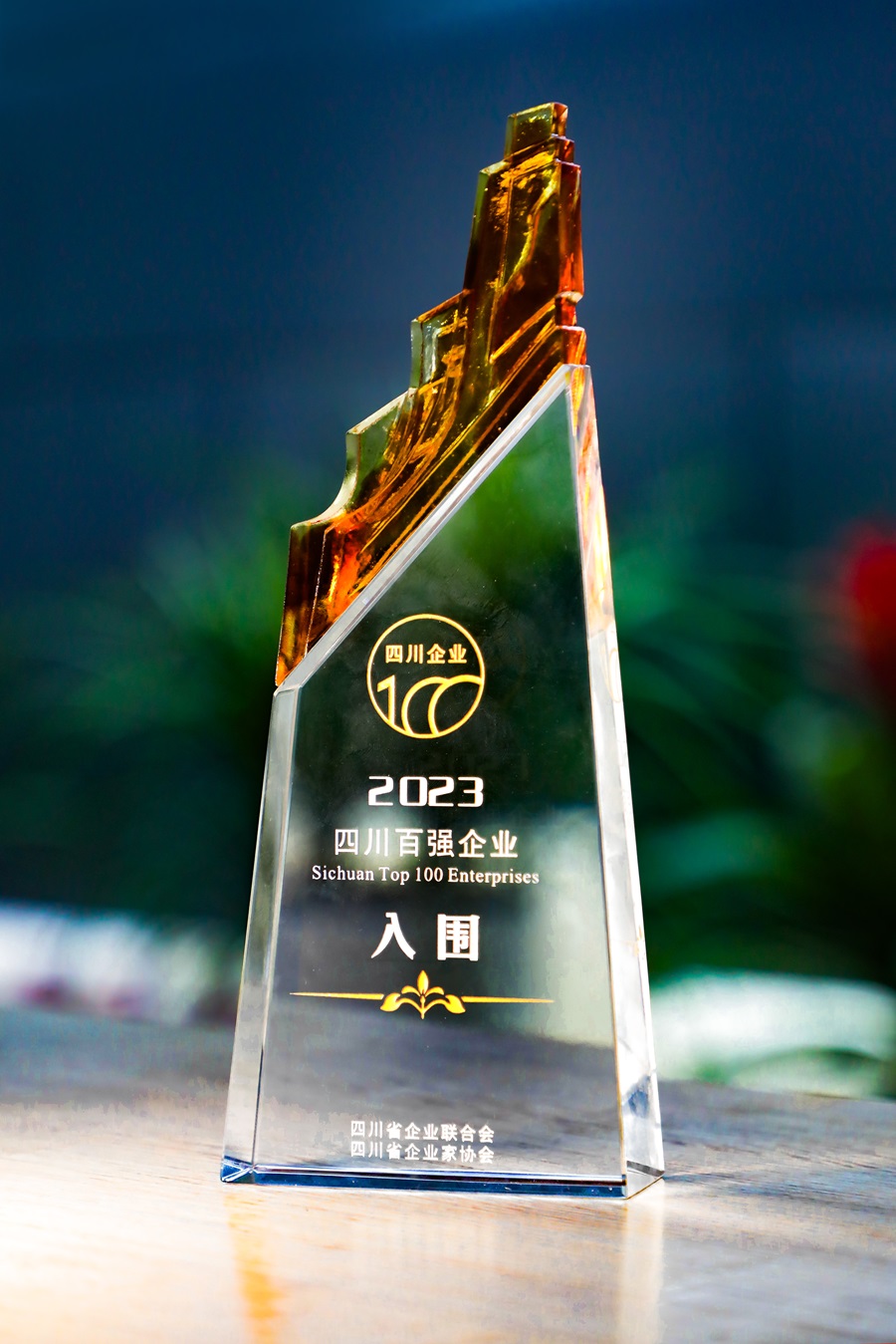 1703756492118781.jpg 獎杯照片.jpg