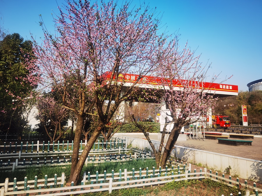 1715225278118028.jpg 標(biāo)準(zhǔn)+生態(tài)4.jpg