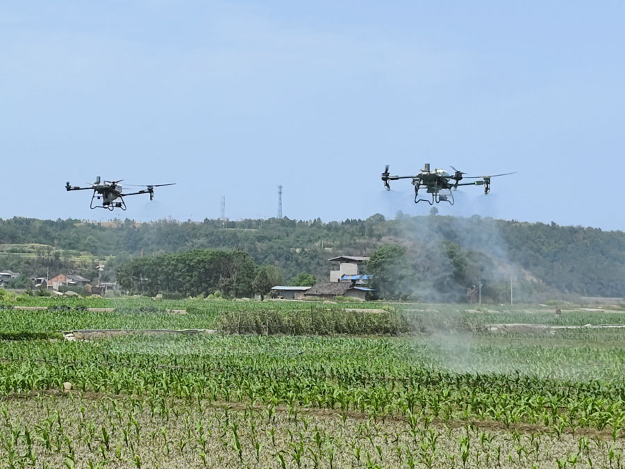 現(xiàn)場照片 (1)_1.JPG